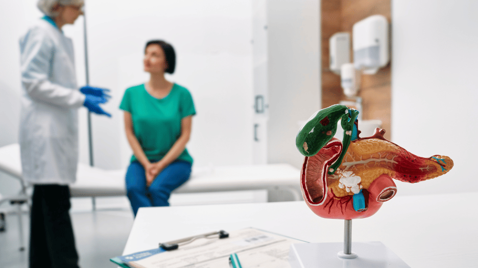 A Summit Health endocrinologist discusses treatment options for chronic pancreatitis with a patient while a model of the pancreas is displayed on the table