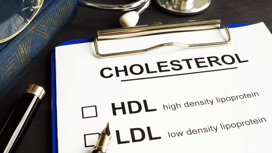 Clipboard with a paper showing HDL and LDL cholesterol definitions