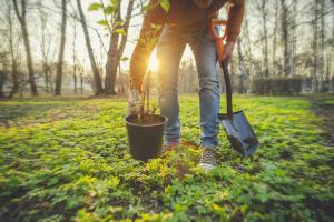 Man holding a plant and shovel outside after recovering from gardening spring ailments