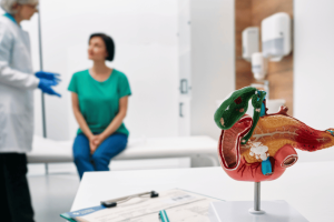 A Summit Health endocrinologist discusses treatment options for chronic pancreatitis with a patient while a model of the pancreas is displayed on the table